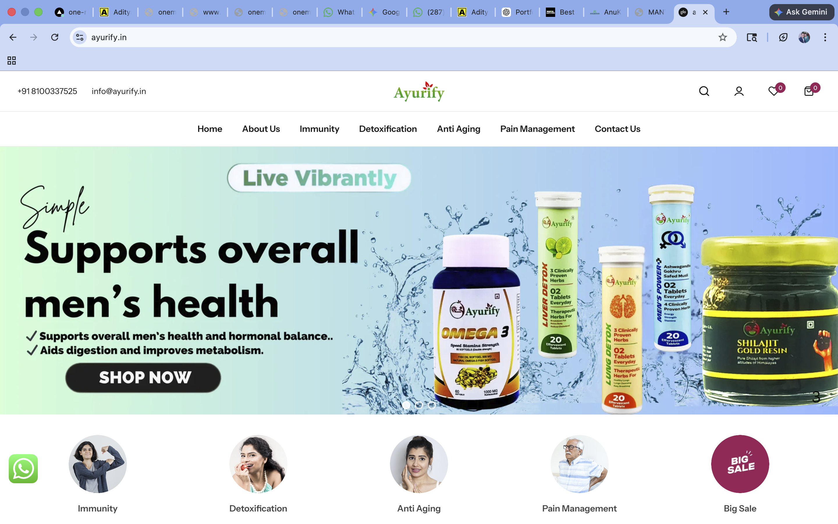 Website Build 06 showcase by ONE MATE SOLUTION